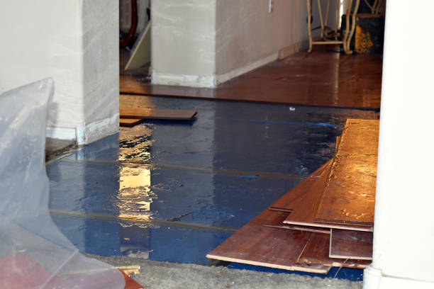 Professional Flood Cleanup technician working in Remus, MI